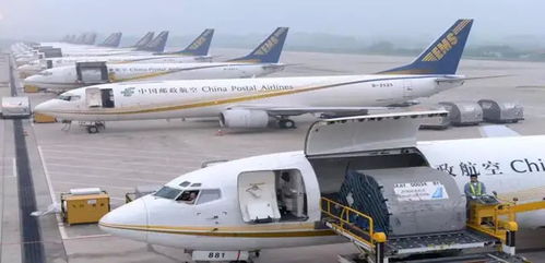 你以為他慢，那是MAN 城市配送運輸服務的精準與從容