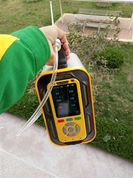 泵吸式氣體檢測(cè)儀